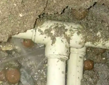 阿瓦提测漏水多少钱