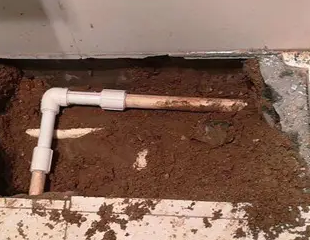 阿瓦提测漏水哪家好