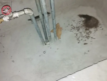 阿瓦提卫生间测漏水价格明细