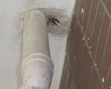 阿瓦提漏水检测哪家好